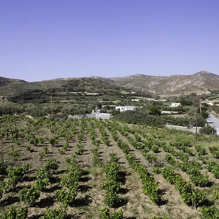 Villa Stelianna Engaraí